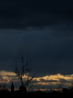 0D48B9FF-21BC-48EC-8BFA-E41C6C508834 4 5005 c