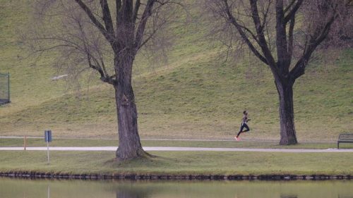 0836C880-FEA3-4E18-B484-242E3F035C59 4 5005 c