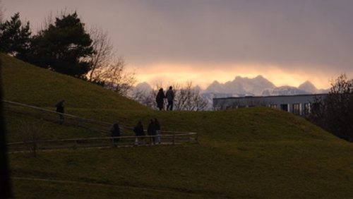 1CB6F1AD-0164-4629-8736-670A6187B24F 4 5005 c